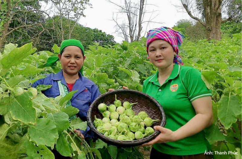 Sự đồng hành của Nhà nước cùng ý chí vươn lên của người dân sẽ tạo hiệu quả giảm nghèo bền vững