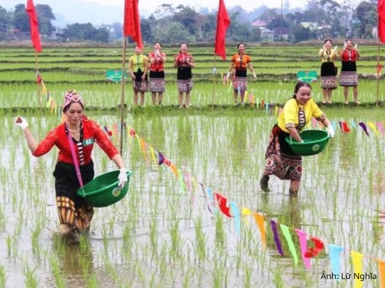 Đồng bào dân tộc thiểu số tích cực sản xuất nông nghiệp