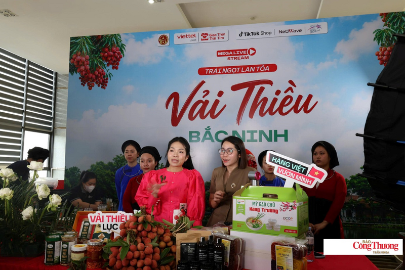 Thương hiệu vải thiều Bắc Ninh được nhiều doanh nghiệp trong và ngoài nước quan tâm.