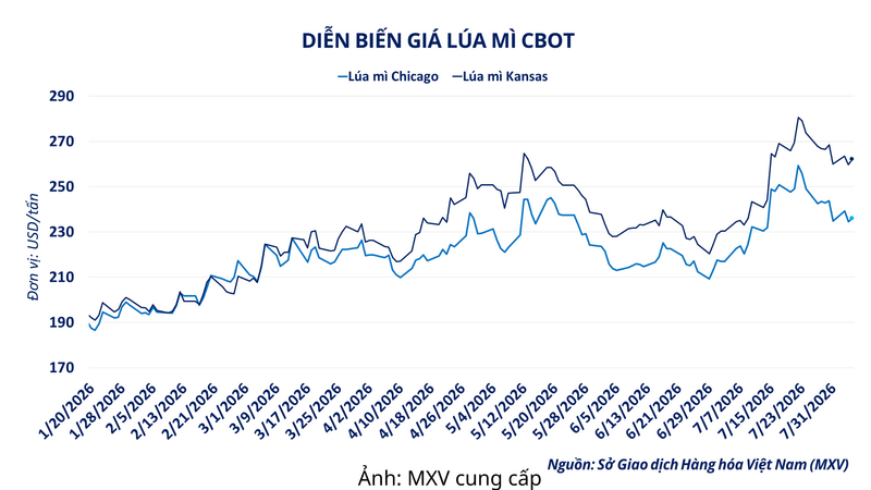 Diễn biến giá lúa mì CBOT