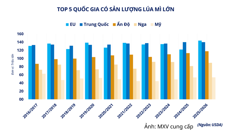 Top 5 quốc gia có sản lượng lúa mi lớn