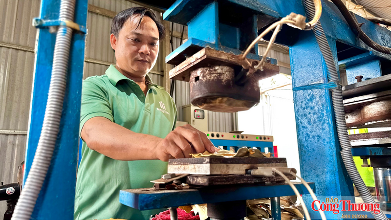 Chỉ trong 6 tháng đầu năm, doanh nghiệp đã tiêu thụ khoảng 1,8 triệu sản phẩm từ mo cau và lá bàng biển.