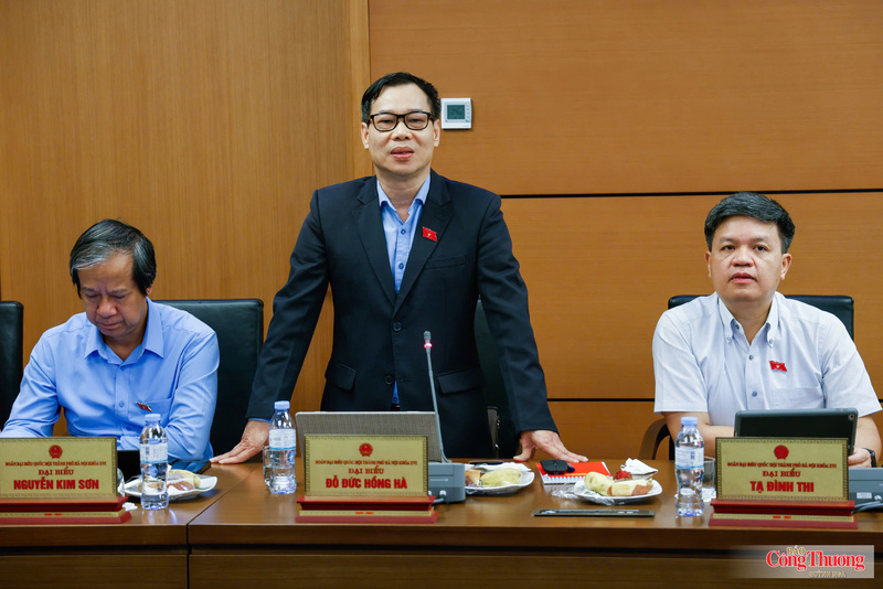 Đại biểu Đỗ Đức Hồng Hà - đoàn TP. Hà Nội