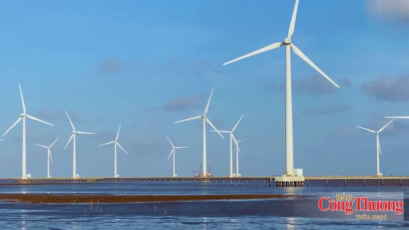 Từ nay đến cuối năm 2026, ngành Công Thương Cà Mau tập trung tháo gỡ các điểm nghẽn về hạ tầng truyền tải và thủ tục đầu tư để đưa các dự án năng lượng sớm đi vào vận hành.