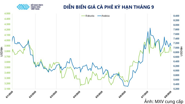 Diễn biến giá cà phê kỳ hạn tháng 9