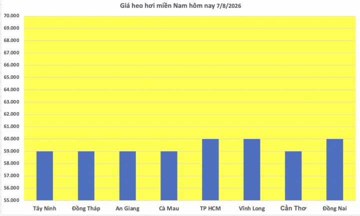 Giá heo hơi hôm nay 7/8/2026: Hạ nhiệt trên diện rộng - 3