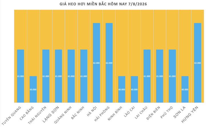 Giá heo hơi hôm nay 7/8/2026: Hạ nhiệt trên diện rộng - 1