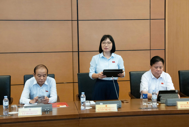 Đại biểu Nguyễn Thị Việt Nga - đoàn Hải Phòng phát biểu tại phiên họp