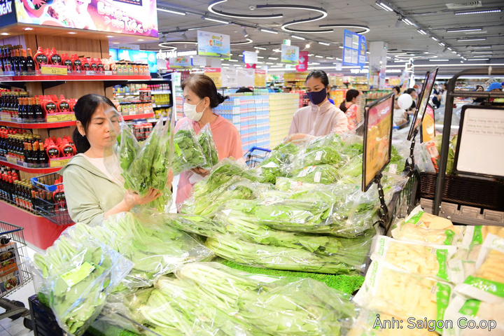 Saigon Co.op tăng cường ưu đãi các nhóm rau củ tươi, đồng hành cùng các gia đình chăm lo dinh dưỡng mùa tựu trường.