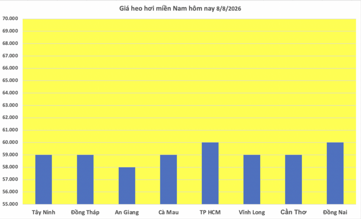 Giá heo hơi hôm nay 8/8/2026: Tiếp đà giảm đồng loạt - 3