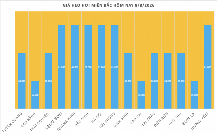 Giá heo hơi hôm nay 8/8/2026: Tiếp đà giảm đồng loạt - 1