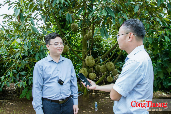 Ông Nguyễn Quốc Mạnh, Phó Cục trưởng Cục Trồng trọt và Bảo vệ thực vật - Bộ Nông nghiệp và Môi trường (bìa trái) trao đổi với phóng viên Báo Công Thương