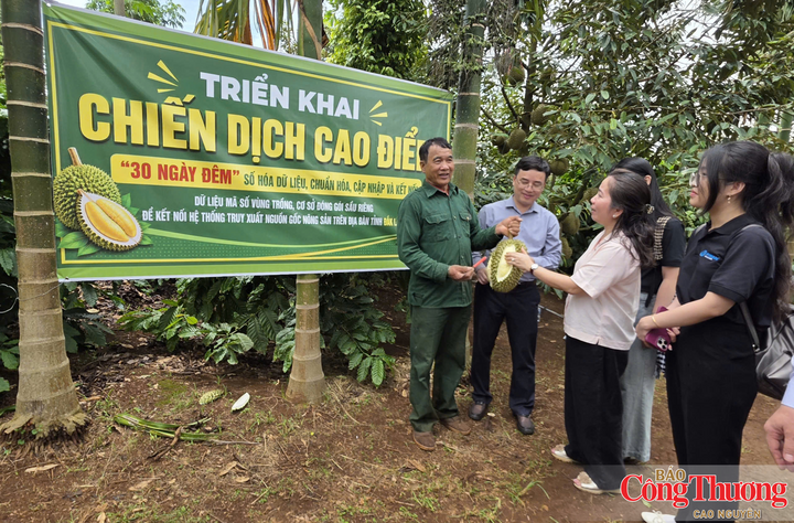 Tỉnh Đắk Lắk đang triển khai chiến dịch cao điểm "30 ngày đêm" nhằm số hóa, chuẩn hóa dữ liệu mã số vùng trồng và mã số cơ sở đóng gói.
