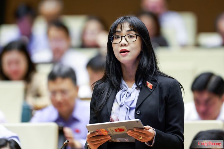 Đại biểu Trịnh Thị Tú Anh - đoàn Lâm Đồng
