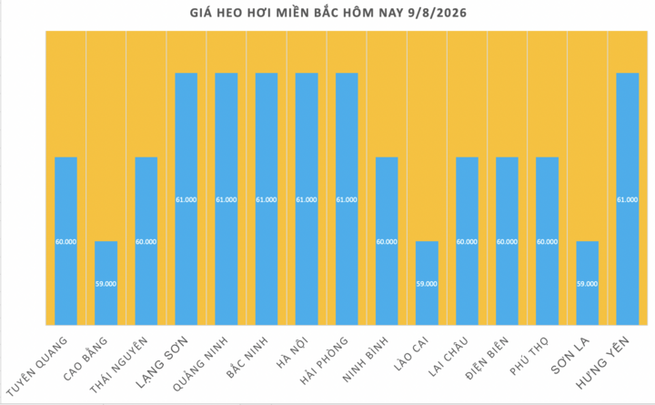 Giá heo hơi hôm nay 9/8/2026: Kéo dài đà giảm trong tuần - 1