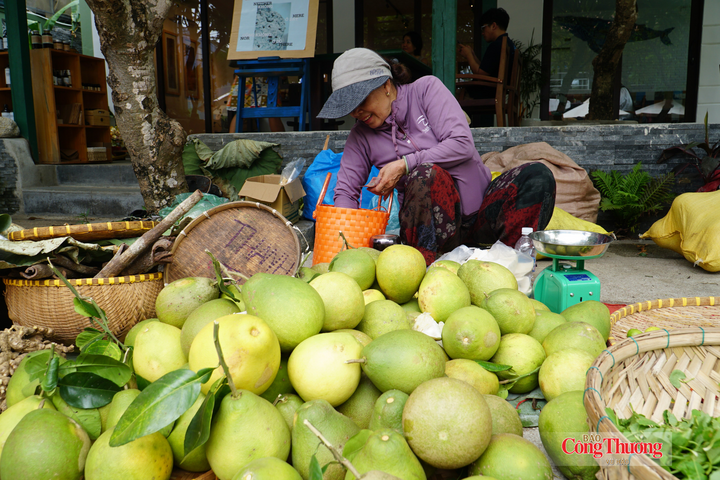 Thanh trà từ làng cổ Lộc Yên (xã Thạnh Bình, TP. Đà Nẵng) được quảng bá, giới thiệu tại Lễ hội