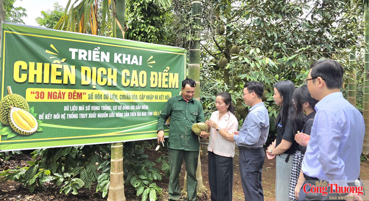 Tỉnh Đắk Lắk triển khai chiến dịch cao điểm "30 ngày đêm" nhằm số hóa, chuẩn hóa dữ liệu mã số vùng trồng và mã số cơ sở đóng gói phục vụ xuất khẩu sầu riêng.