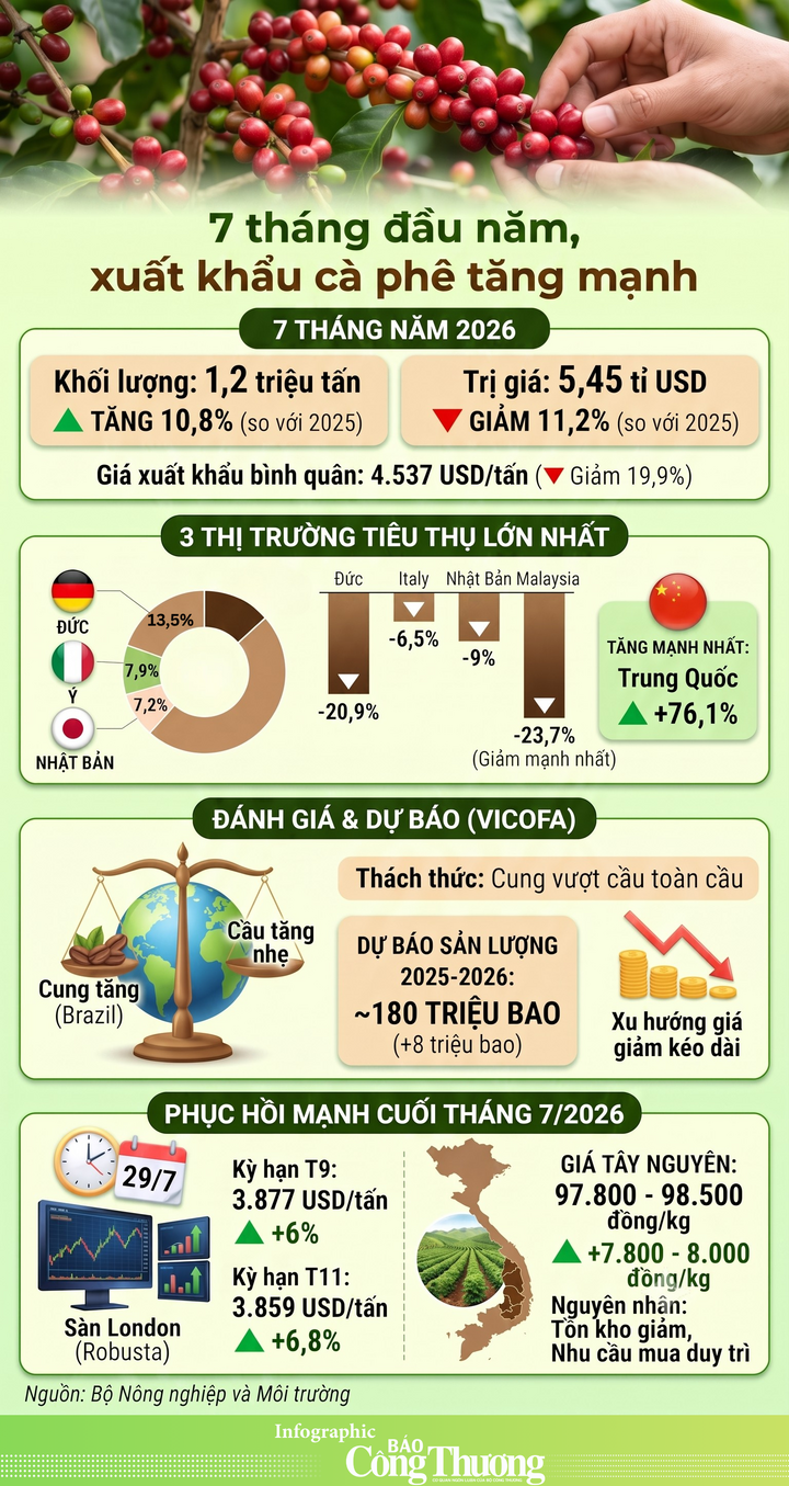 Infographic | 7 tháng đầu năm, xuất khẩu cà phê tăng mạnh - 1