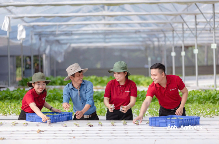 Agribank là ngân hàng chủ lực khơi thông dòng vốn tín dụng vào hoạt động sản xuất kinh doanh.