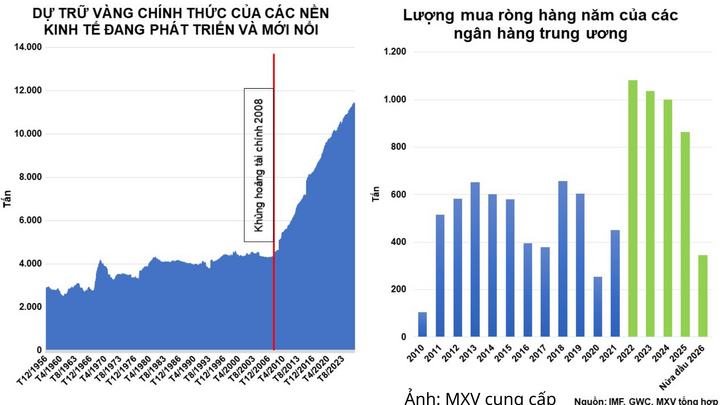 Lượng vàng dự trữ của các nền kinh tế đang phát triển và mới nổi + Lượng mua ròng hàng năm của các Ngân hàng Trung ương