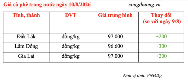 Giá cà phê hôm nay 10/8/2026: Tăng nhẹ 200 - 300 đồng/kg - 4