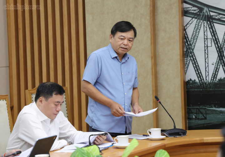 Thứ trưởng Bộ NN&MT Nguyễn Hoàng Hiệp báo cáo tại cuộc họp - Ảnh: chinhphu.vn/Gia Huy