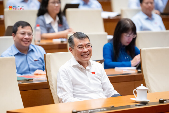 Thủ tướng Chính phủ Lê Minh Hưng tham dự phiên họp.