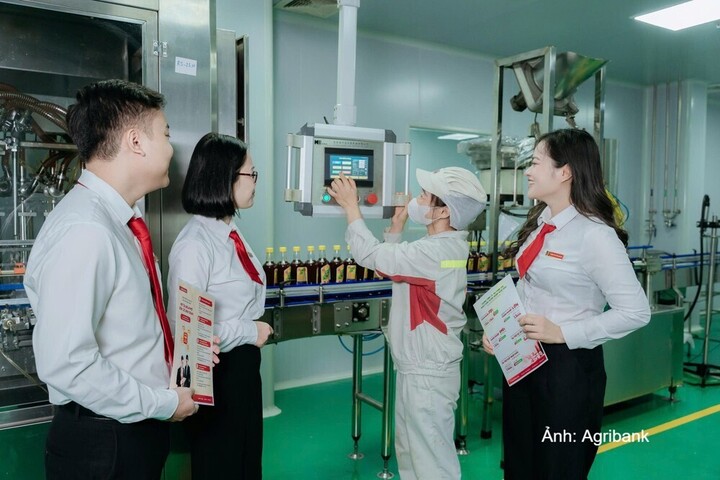 Sau chỉ đạo của Ngân hàng Nhà nước, các ngân hàng nhanh chóng triển khai chính sách giảm lãi suất, ưu tiên dòng vốn cho sản xuất, kinh doanh và các động lực tăng trưởng.