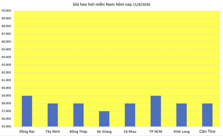 Giá heo hơi hôm nay 11/8/2026: Tiếp đà giảm diện rộng - 3