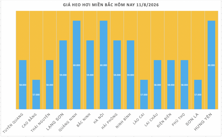 Giá heo hơi hôm nay 11/8/2026: Tiếp đà giảm diện rộng - 1