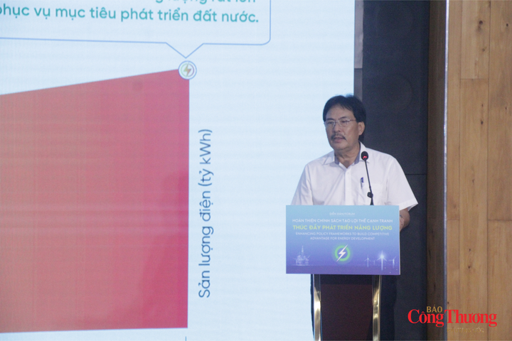TS. Nguyễn Hùng Dũng, Phó Chủ tịch kiêm Tổng Thư ký Hội Dầu khí Việt Nam trao đổi tại diễn đàn.