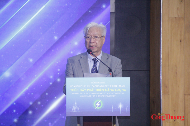 Ông Đào Quang Bính, Tổng Thư ký Hội Khoa học Kinh tế Việt Nam, Phó Chủ tịch Hội đồng Biên tập Tạp chí Kinh tế Việt Nam phát biểu khai mạc.