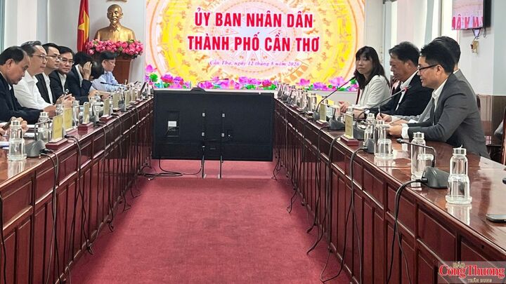 Quang cảnh tại buổi làm việc.