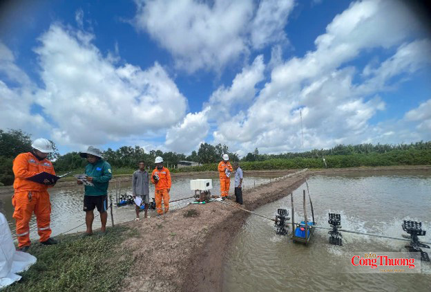 Thực hiện theo hướng dẫn của ngành điện đối với các đường dây điện sau đồng hồ chính.