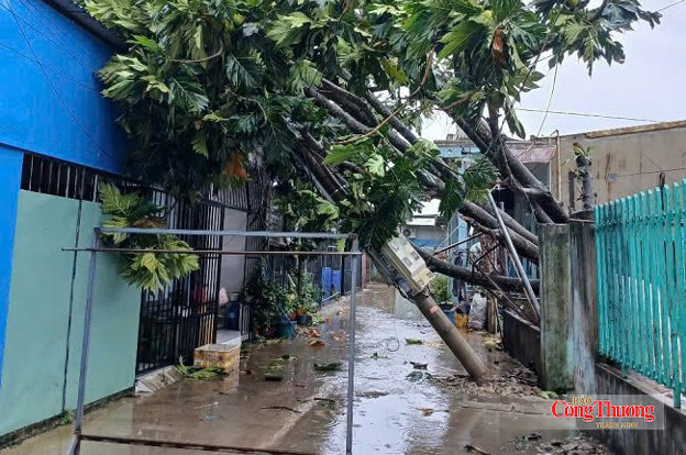 Không trú mưa, trú giông dưới cột điện, trạm biến áp, cây lớn hoặc công trình gần đường dây điện.
