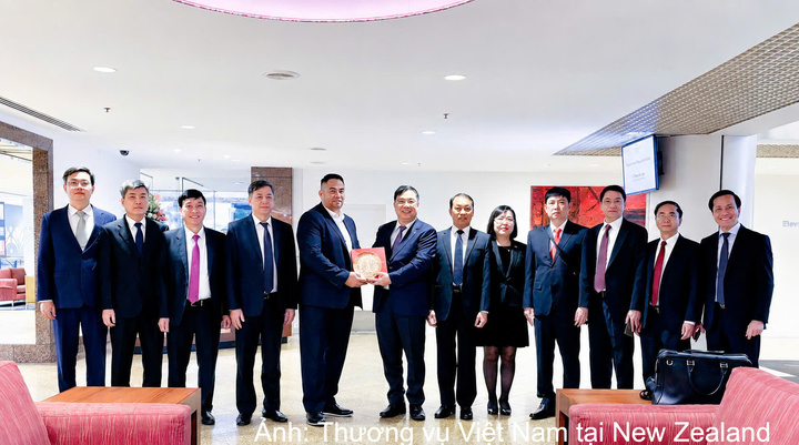 Thương vụ Việt Nam tại New Zealand phối hợp tổ chức các chương trình làm việc, xúc tiến thương mại và đầu tư, hỗ trợ các địa phương mở rộng hợp tác tại thị trường New Zealand.