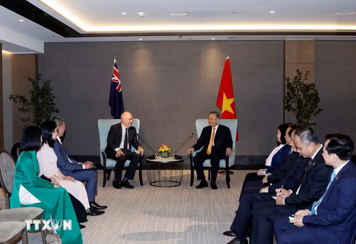 Tổng Bí thư, Chủ tịch nước Tô Lâm và ông Steven Joyce, Quyền Chủ tịch Hội Hữu nghị New Zealand-Việt Nam. Ảnh: Thống Nhất/TTXVN