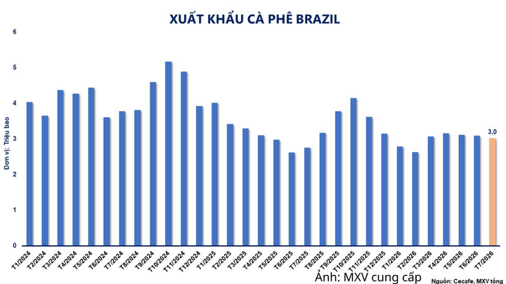 Xuất khẩu cà phê Brazil