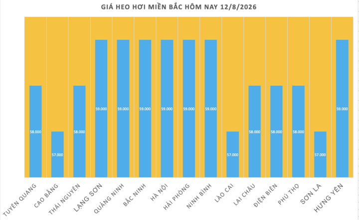 Giá heo hơi hôm nay 12/8/2026: Nối tiếp đà giảm - 1