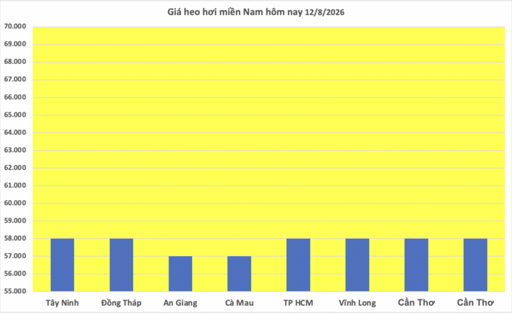 Giá heo hơi hôm nay 12/8/2026: Nối tiếp đà giảm - 3