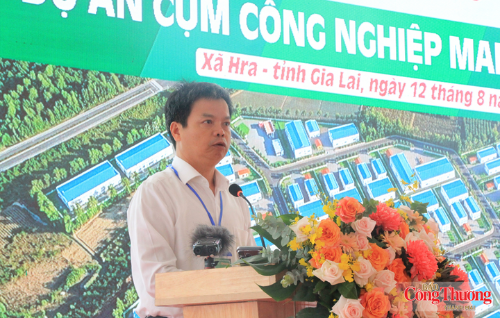 Phó Chủ tịch UBND tỉnh Gia Lai Nguyễn Hữu Quế đánh giá việc triển khai Cụm công nghiệp Mang Yang số 2 là dấu mốc có ý nghĩa đối với phát triển hạ tầng công nghiệp của địa phương.