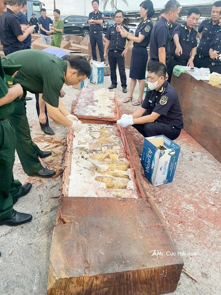 Số ngà voi được cất giấu tinh vi trong những thân gỗ lớn. Ảnh: Cục Hải quan