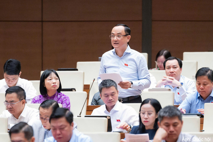 Đại biểu Nguyễn Ngọc Sơn - đoàn Hải Phòng