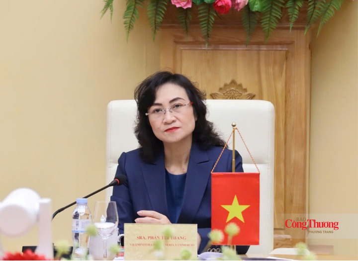 Thứ trưởng Bộ Công Thương Phan Thị Thắng phát biểu tại buổi làm việc.