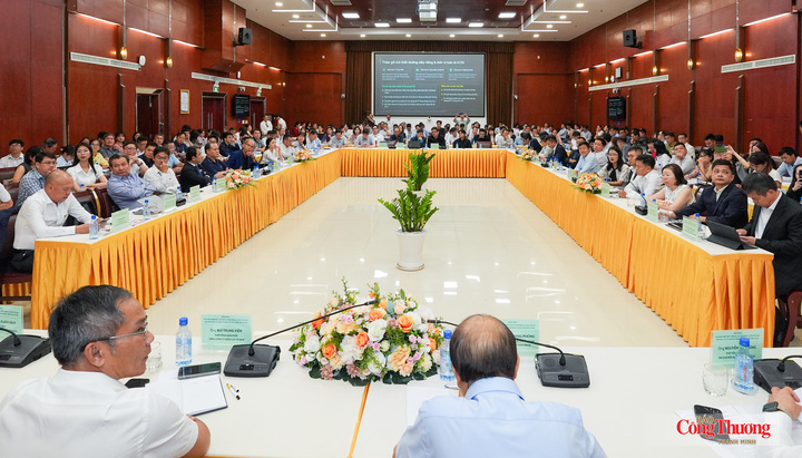 Đại biểu tham dự sự kiện.