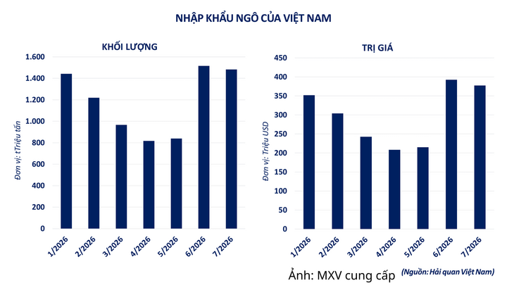Nhập khẩu ngô của Việt Nam