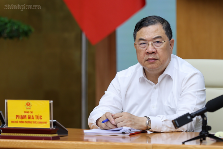 Phó Thủ tướng Thường trực Chính phủ Phạm Gia Túc phát biểu tại cuộc làm việc - Ảnh: Chinhphu.vn/Nhật Bắc