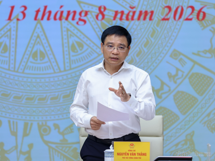 Phó Thủ tướng Chính phủ Nguyễn Văn Thắng phát biểu tại cuộc làm việc - Ảnh: Chinhphu.vn/Nhật Bắc
