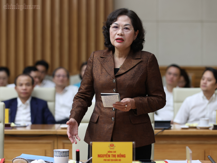 Phó Chủ tịch Quốc hội Nguyễn Thị Hồng phát biểu tại cuộc làm việc - Ảnh: Chinhphu.vn/Nhật Bắc