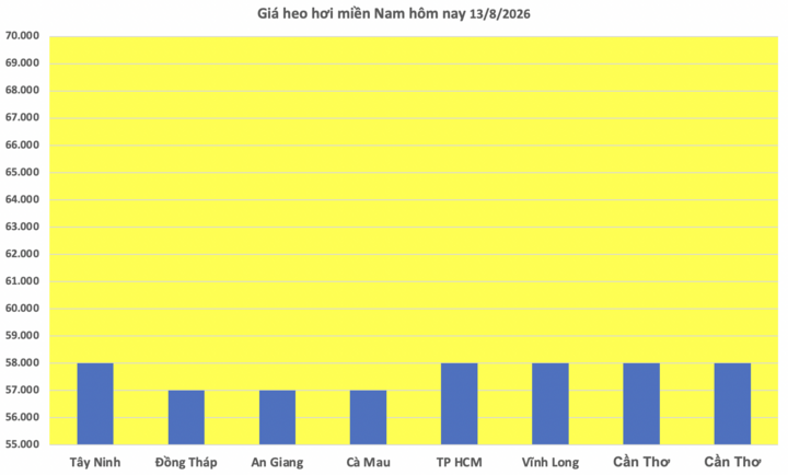Giá heo hơi hôm nay 13/8/2026: Giảm cục bộ 1.000 đồng/kg - 3